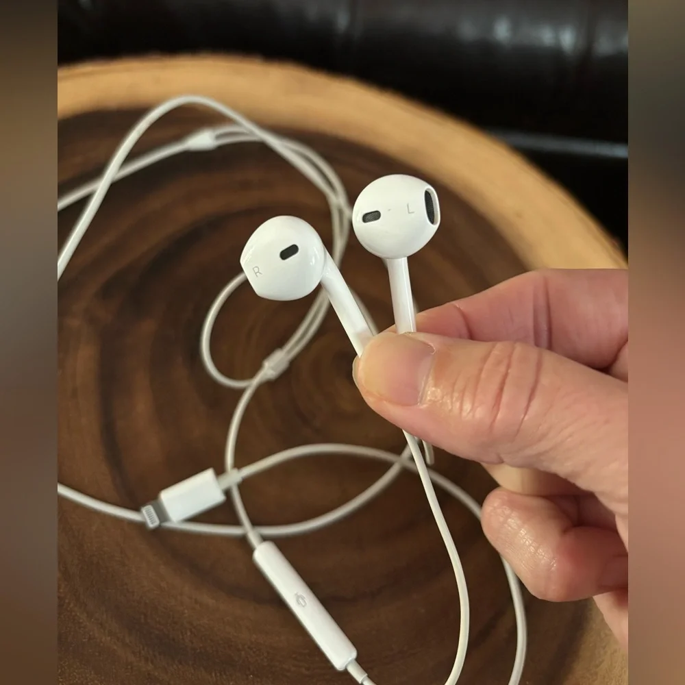 Apple earbuds iPhone, like brand new apple plug.